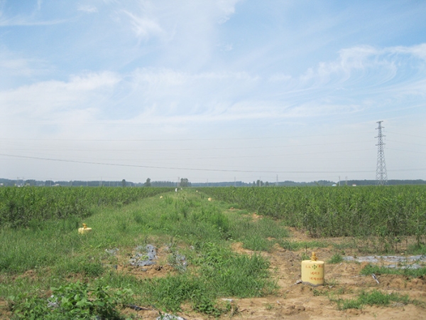 出水口安装案例——罗庄区农业综合开发项目区